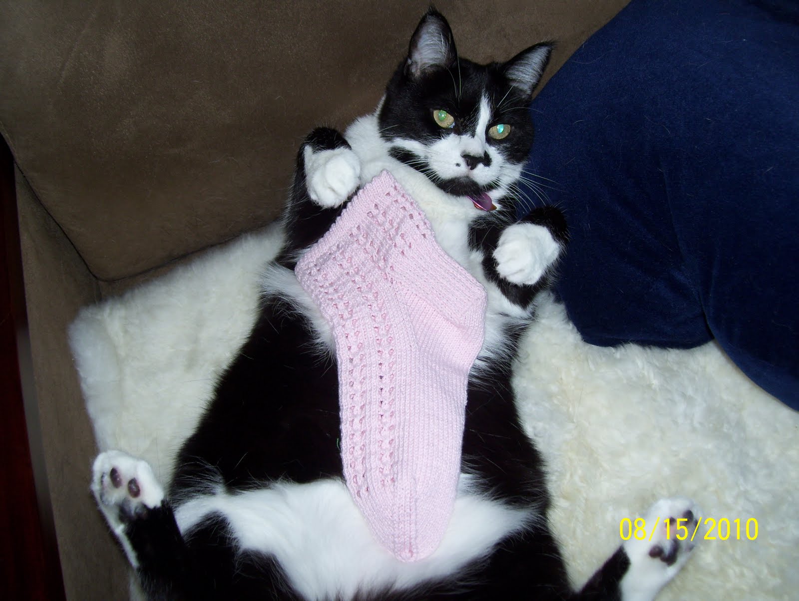 tuxie pink sock