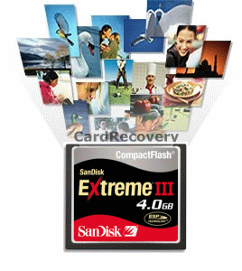 cardrecovery 3.60 serial number cardrecovery 3.60 serial number