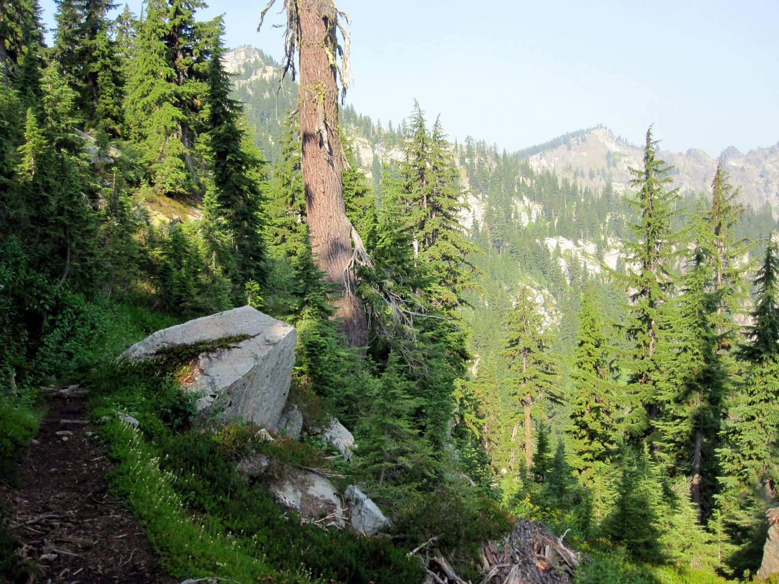 I Keep Running Run Across Idaho (a preview)