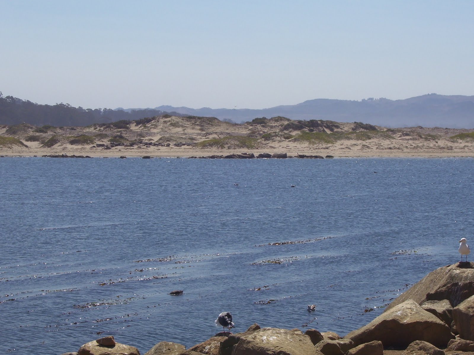 [Burning+Man+2009+trip+012.JPG]