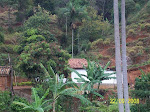 Casa do meu irmão - MG