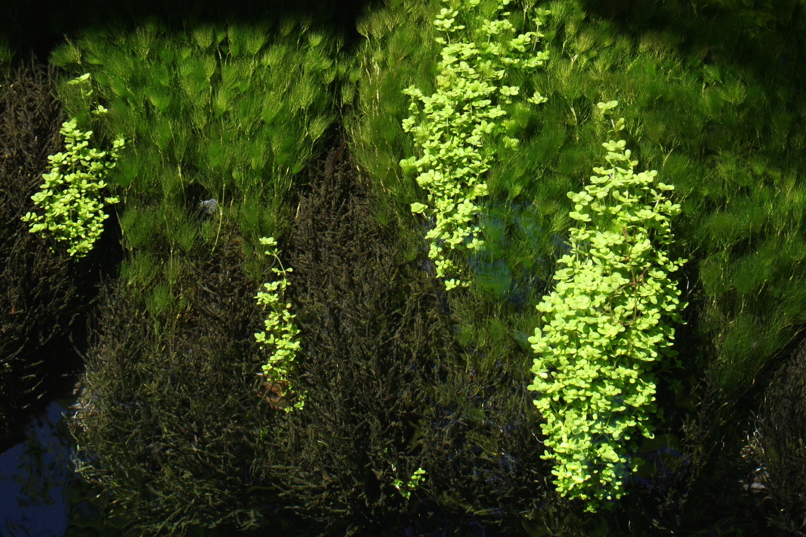 [IMG_7831.JPG]