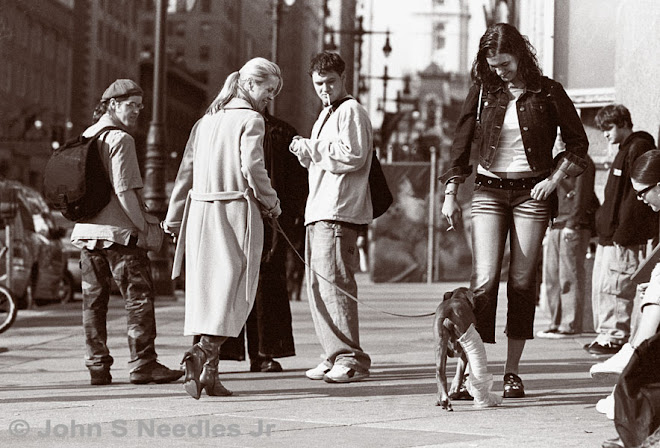 11_ PHOTOJOURNALISM_ Philadelphia Students & Dog