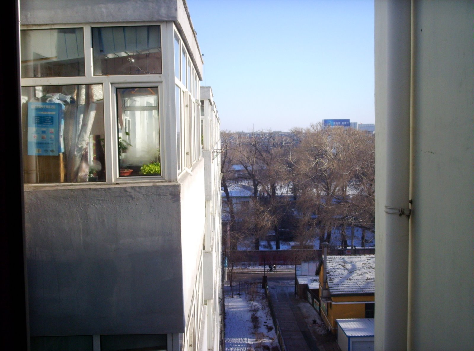 [brightsunnynewyearday-710762.JPG]