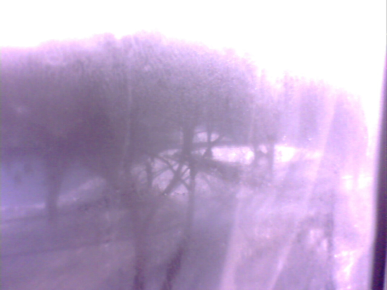 [lastdayof2008-brightsunnyday-713897.jpg]
