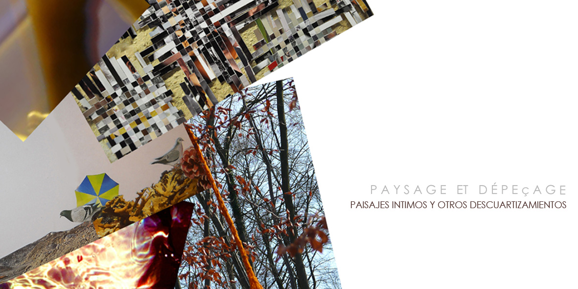 paysage et dépeçage / paysajes intimos y otros descuartizamientos