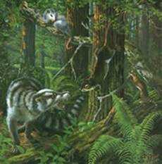 Paleoceno