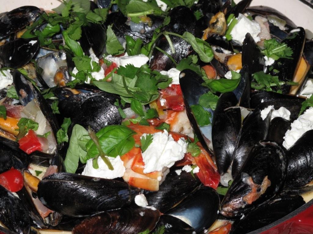 [Mussels_for_Wilma_002.jpg]