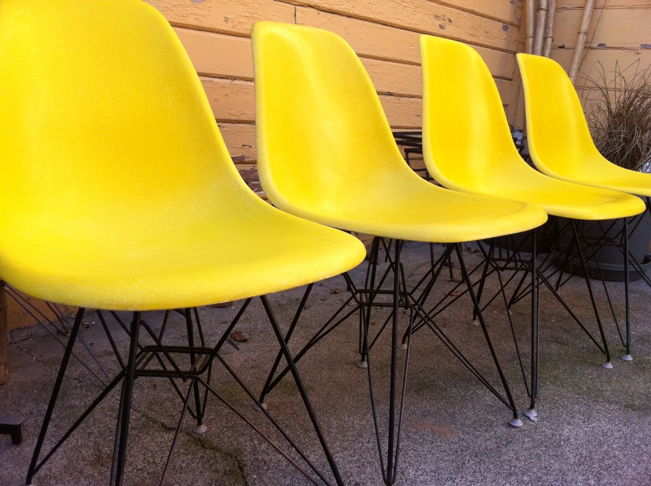 Eames Yellow
