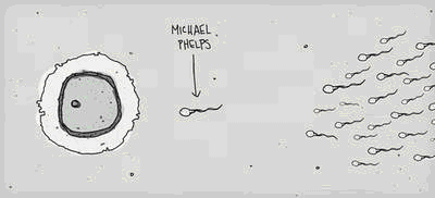 [phelps-egg.gif]