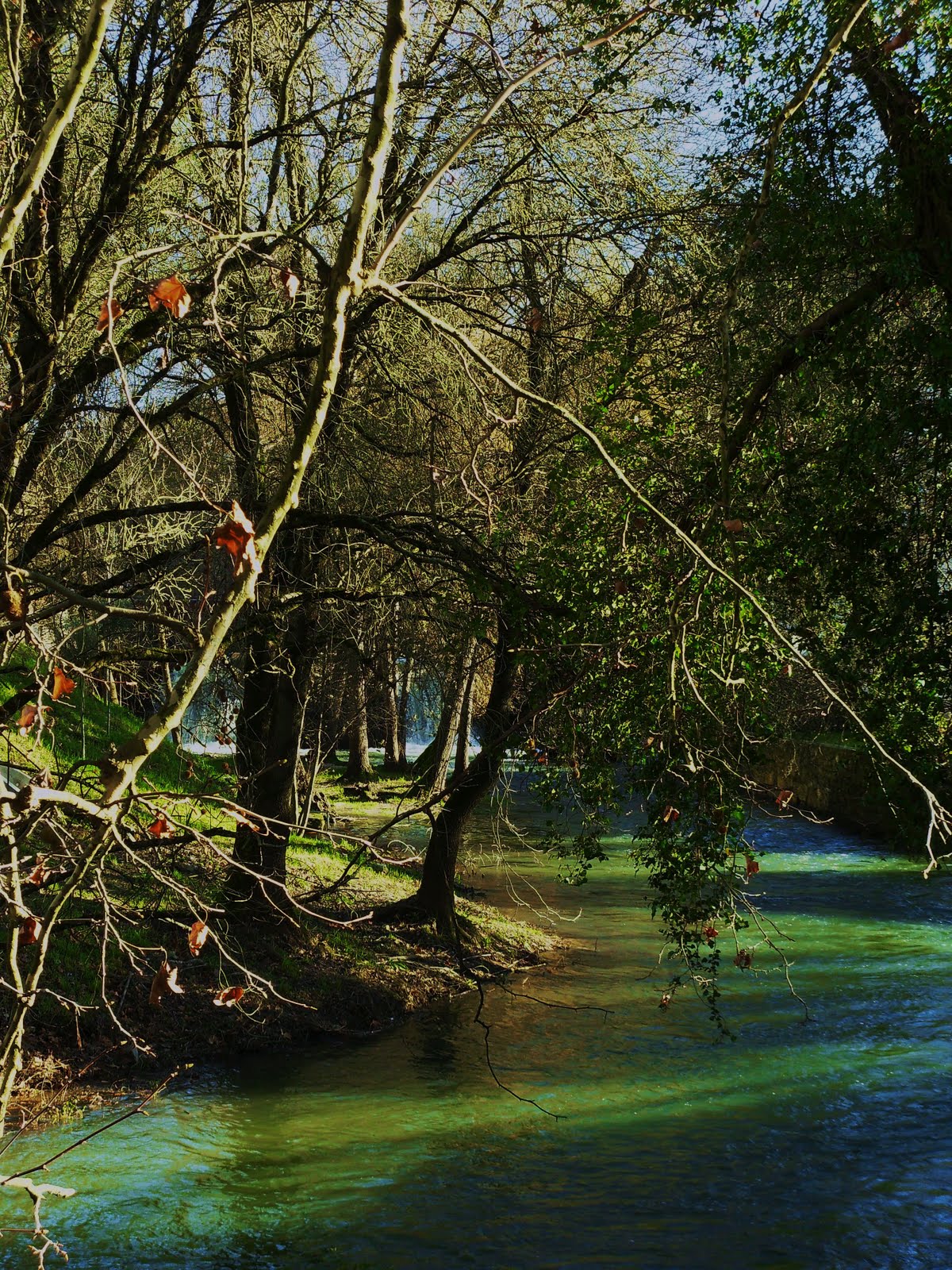 [SDC10784.JPG]