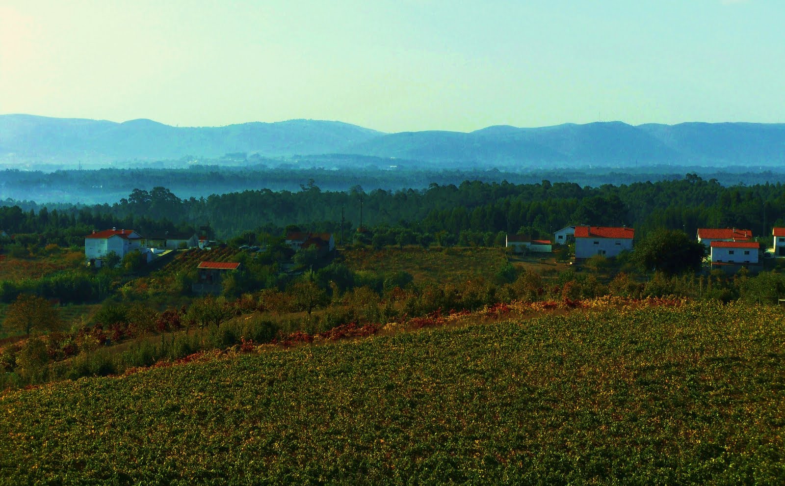 [SDC10018.JPG]