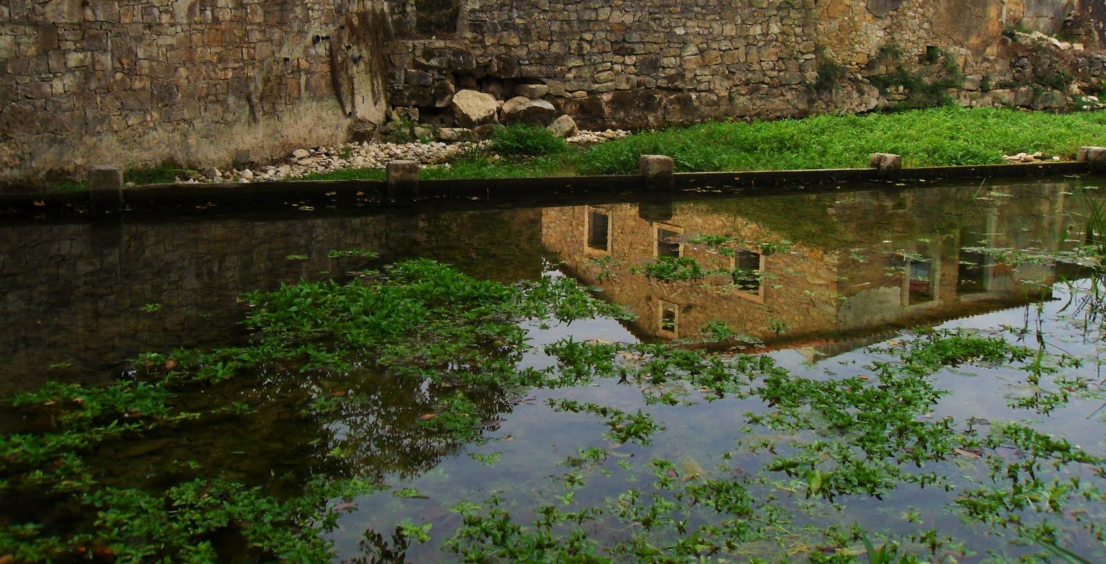 [SDC10038+-+Cópia.JPG]