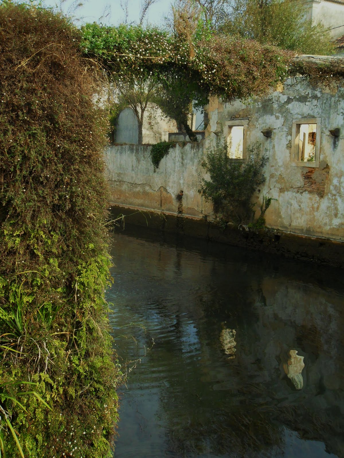 [SDC10018+-+Cópia.JPG]