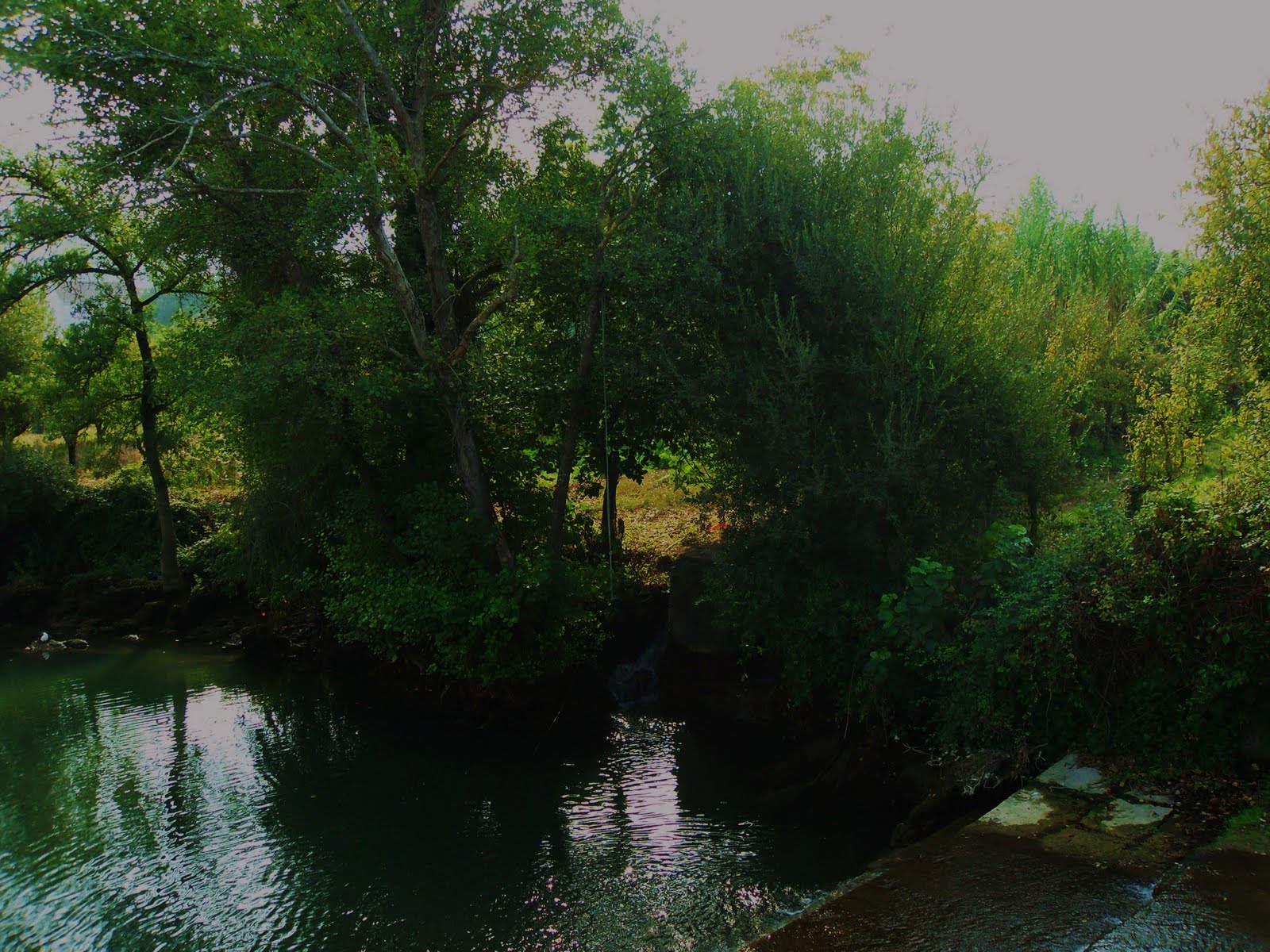 [SDC10006+-+Cópia.JPG]