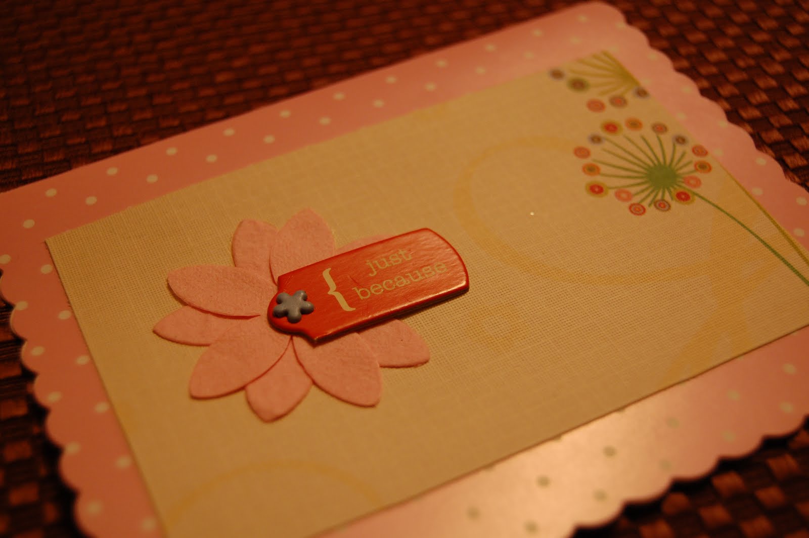 [DSC_0014.JPG]
