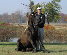 S.T. with the horse Lots Of Motion