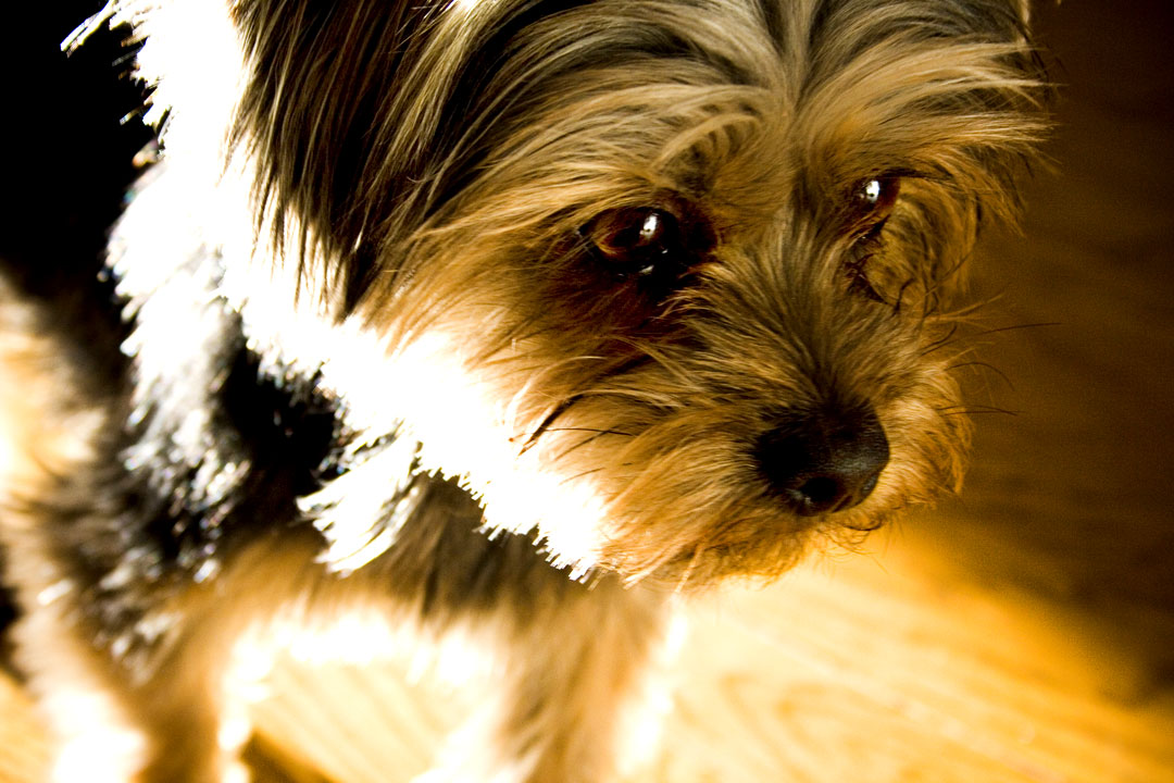 [IMG_8137-for-web.jpg]