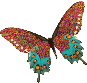 Gifs de borboletas
