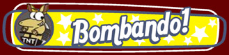 [111BOMBANDO2.jpg]