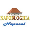 Napocel