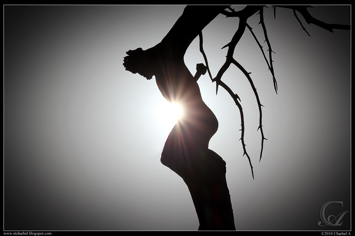 Cedar tree in Lebanon with Jesus on the cross carved into it