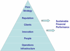 The Strategic Performance Area Model