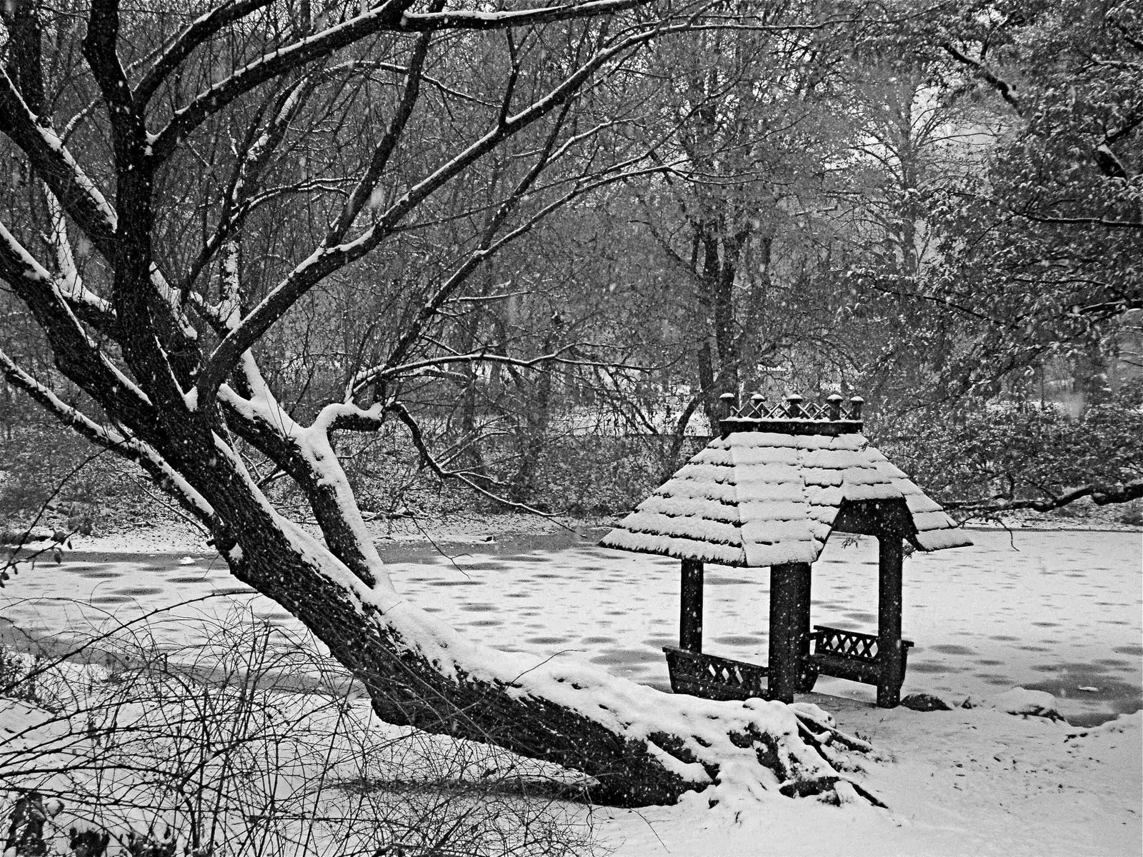 [DSCF0976.jpg]