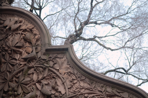 [Central+park4ReliefColor.jpg]