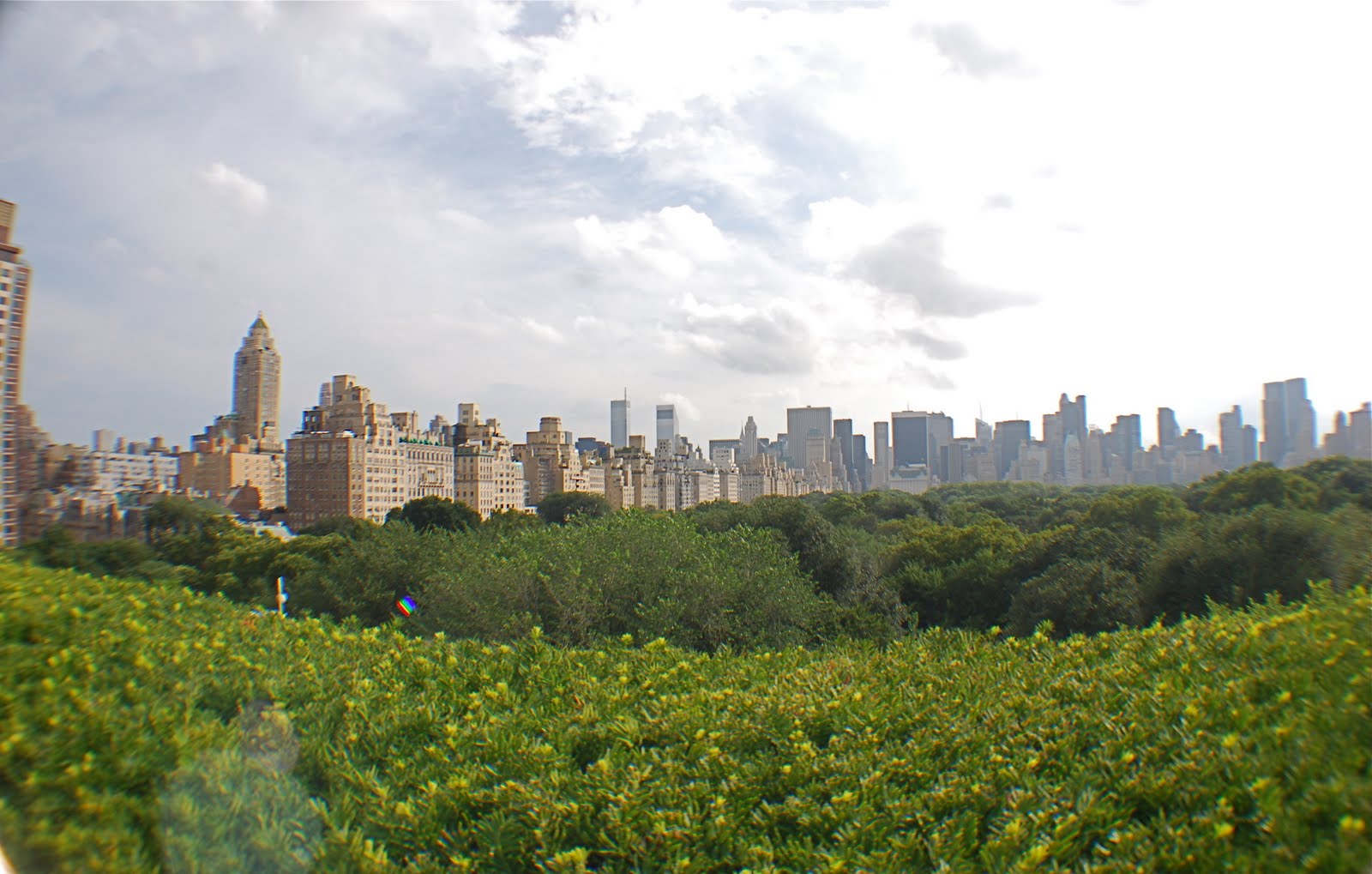[DSC_3766.JPG]