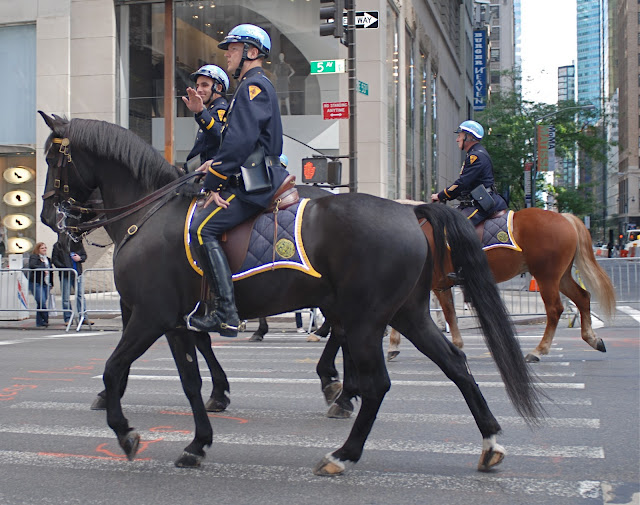 NYC ♥ NYC New York Police Department's 10Foot Cops (NYPD Mounted Unit) On Fifth Avenue