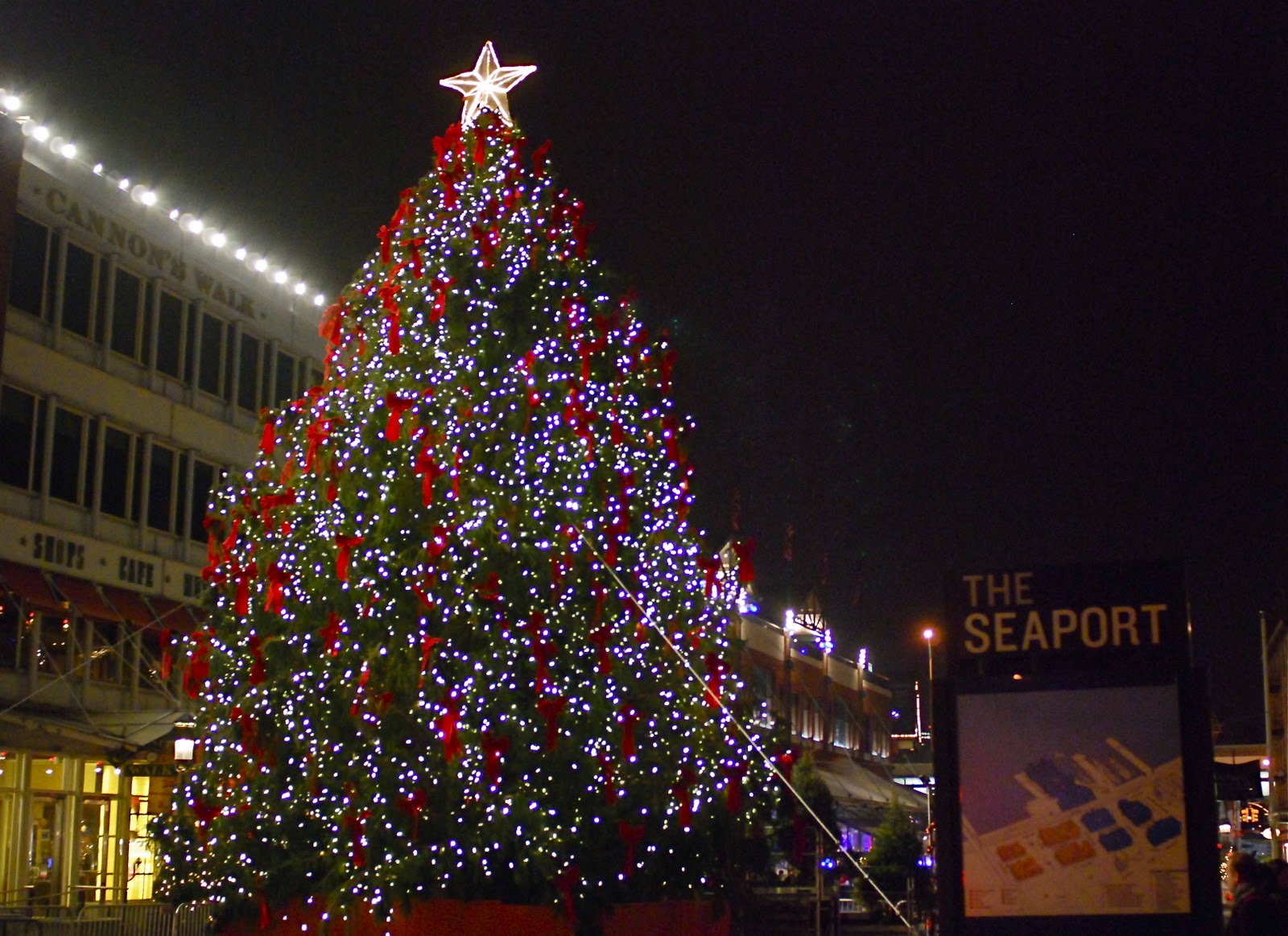 NYC ♥ NYC Christmas Trees in Manhattan