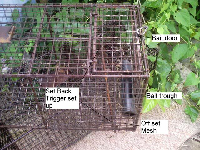 cage trapping supplies bait