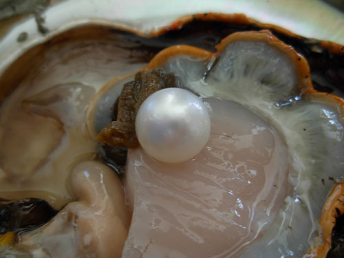 and speaking of cheezin.. If I discovered this in my Oyster and speaking of cheezin.. If I discovered this in my Oyster