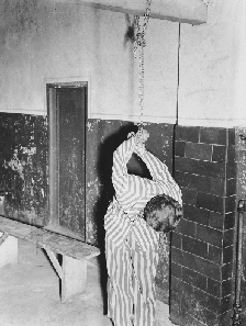 [Emmaly-Reed-chained-to-wall-Holohoax.gif]