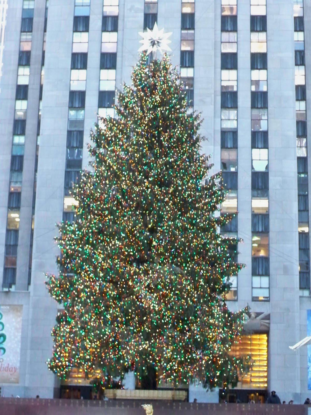 [thegameLord.com_RockefellerTree100_8417.JPG]