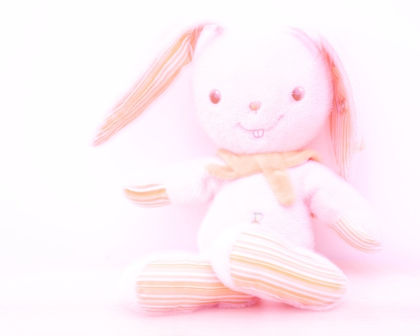 Pink_Rabbit