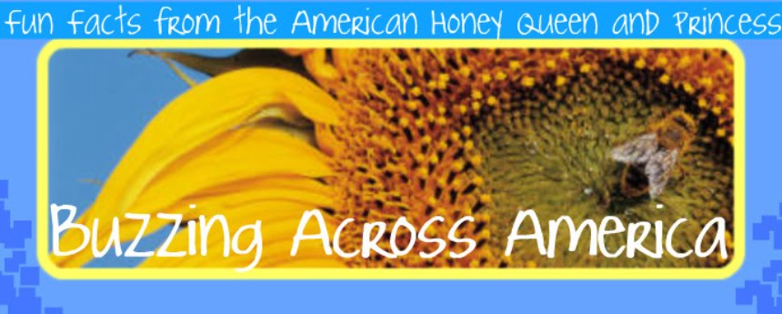 Buzzing Across America