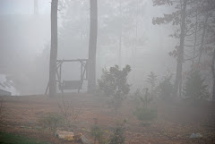 Lake Norman Pea Soup!