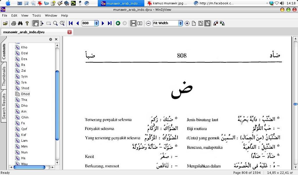 Bahasa Indonesia Pdf