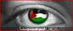 غزه في عيوننا