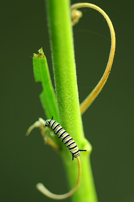 [AA0_1371-1.JPG]