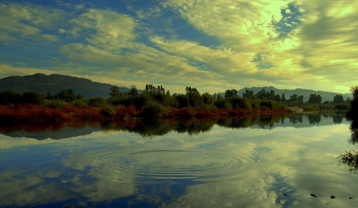 [AA0_7441-2.JPG]