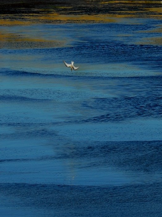 [DSC_7867.JPG]