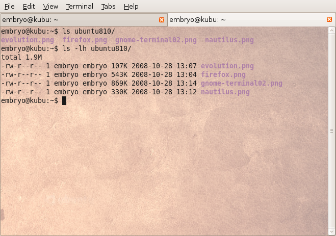 [gnome-terminal01.png]