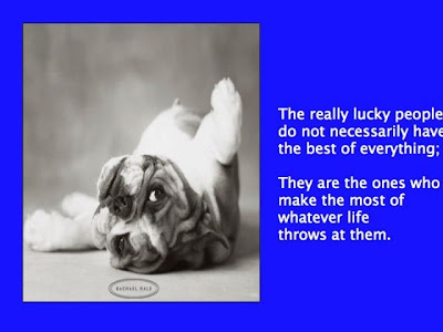 puppies and quotes. Posted by janis at Sunday, March 01, 2009 0 comments 