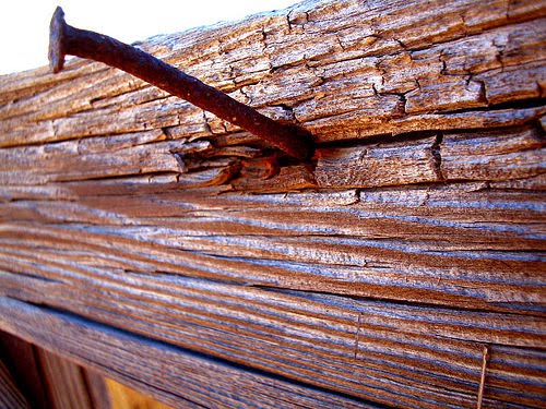 nail-in-the-fence.jpg?width=381