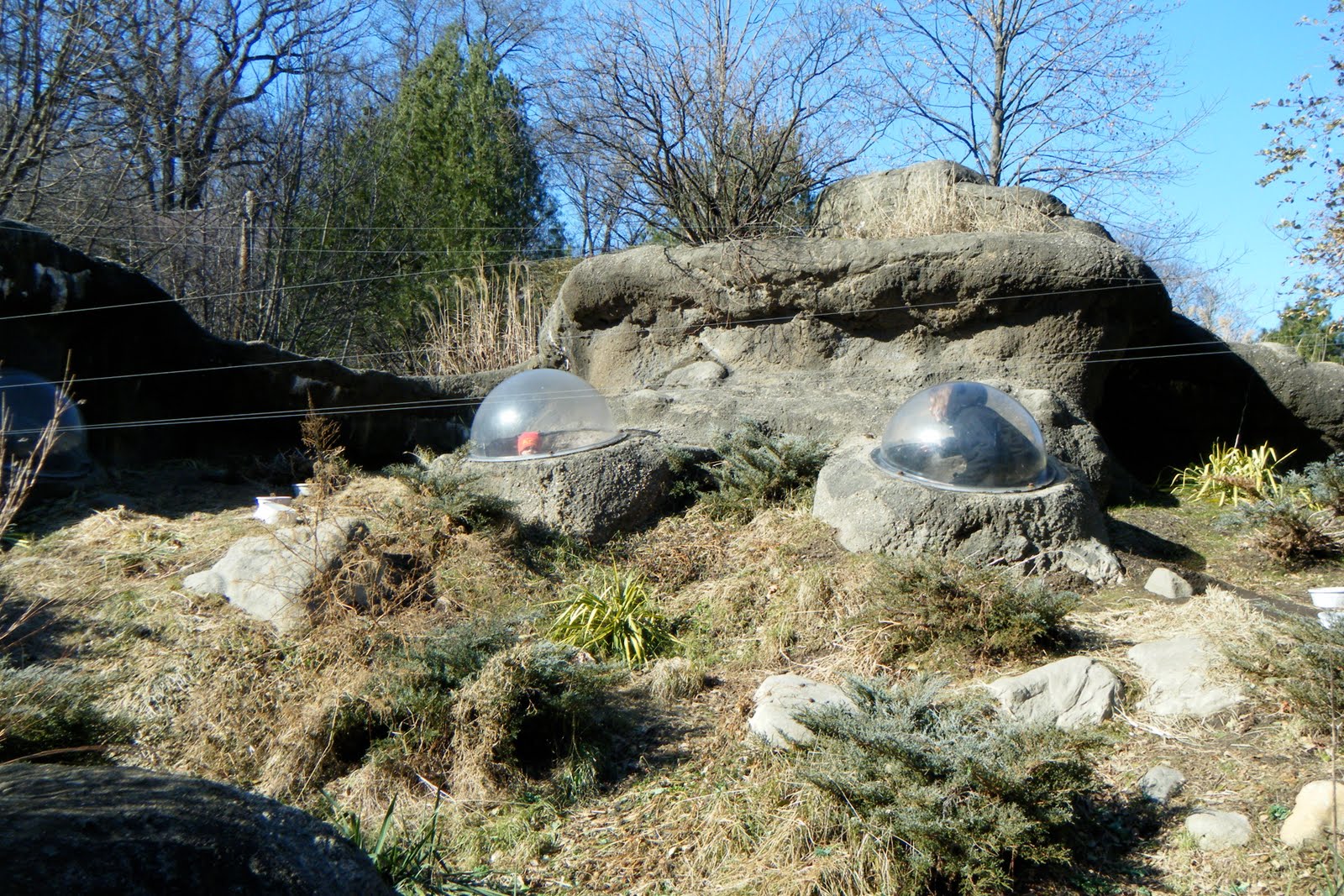 [DSCF5388.JPG]