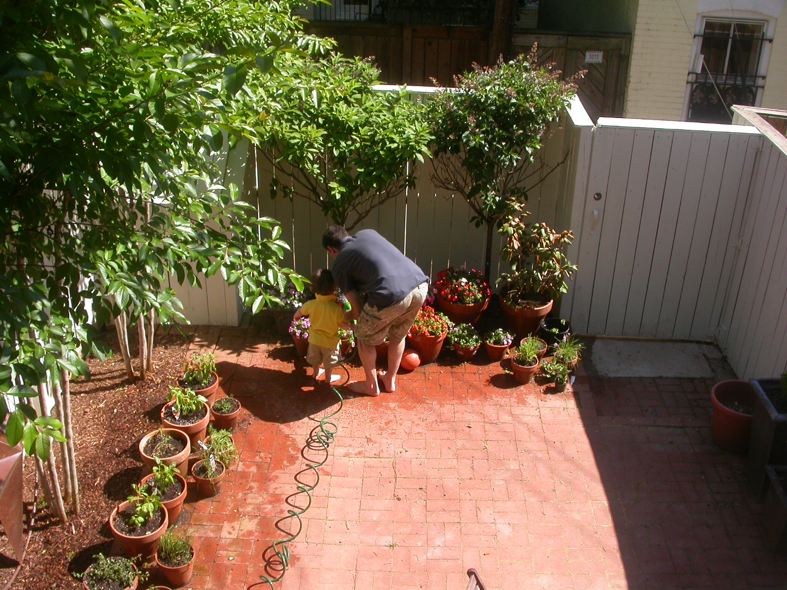 [DSCN1982.JPG]