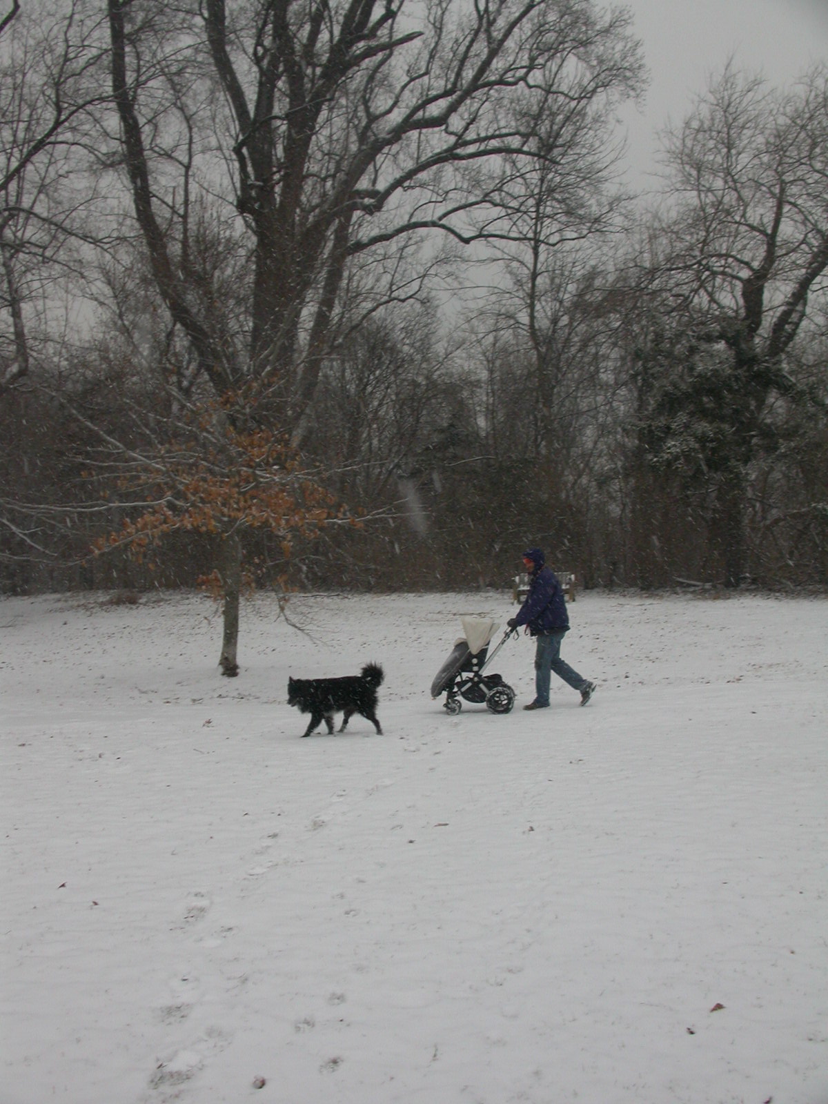 [DSCN1566.JPG]